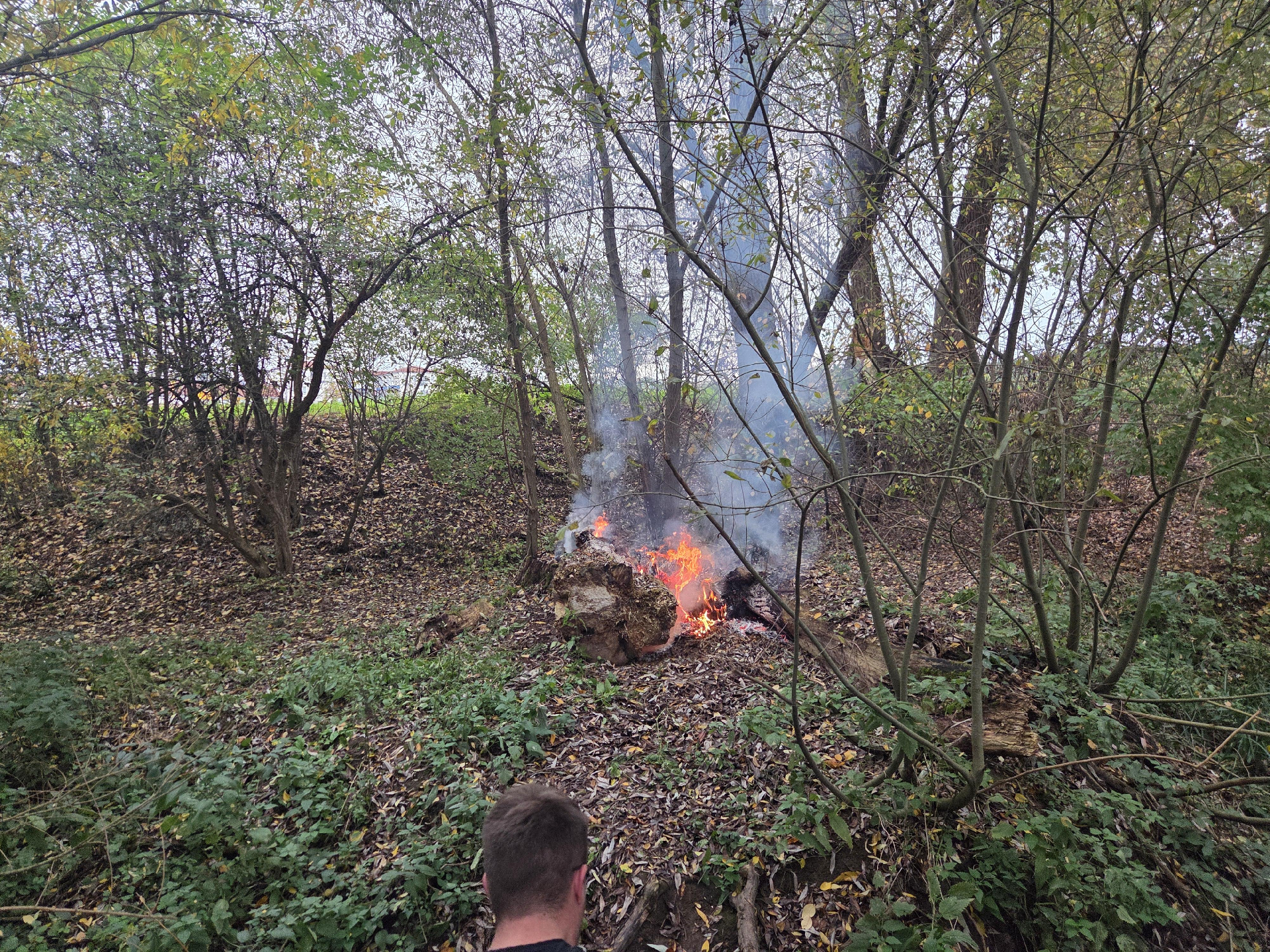 Einsatzfoto Brand Baum