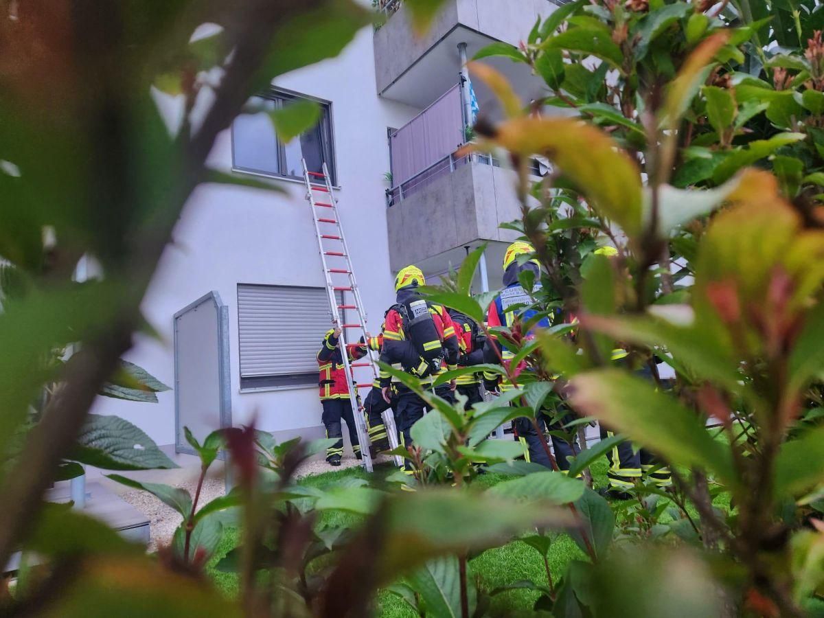 Brand